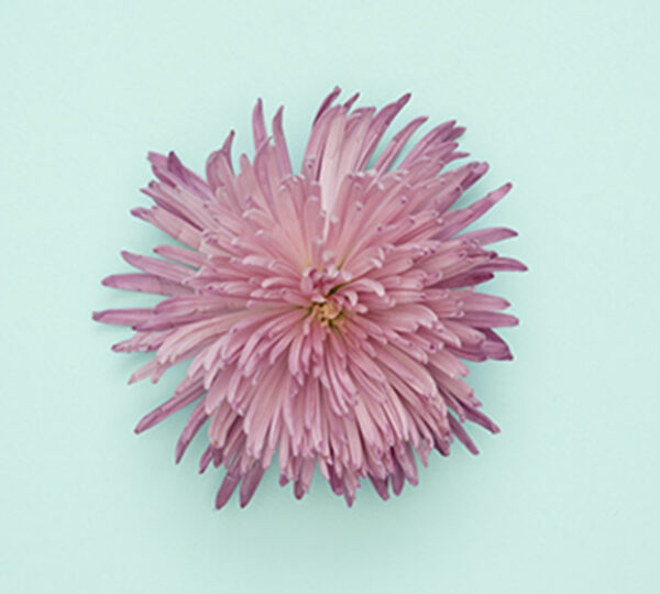 portfolio7 portfolio7