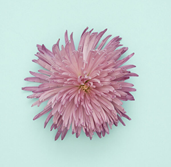 portfolio7 portfolio7