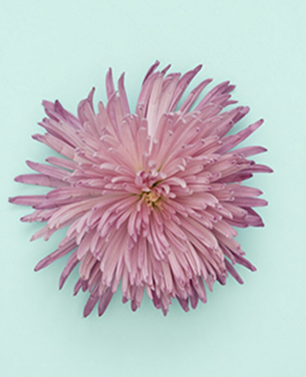 portfolio7 portfolio7